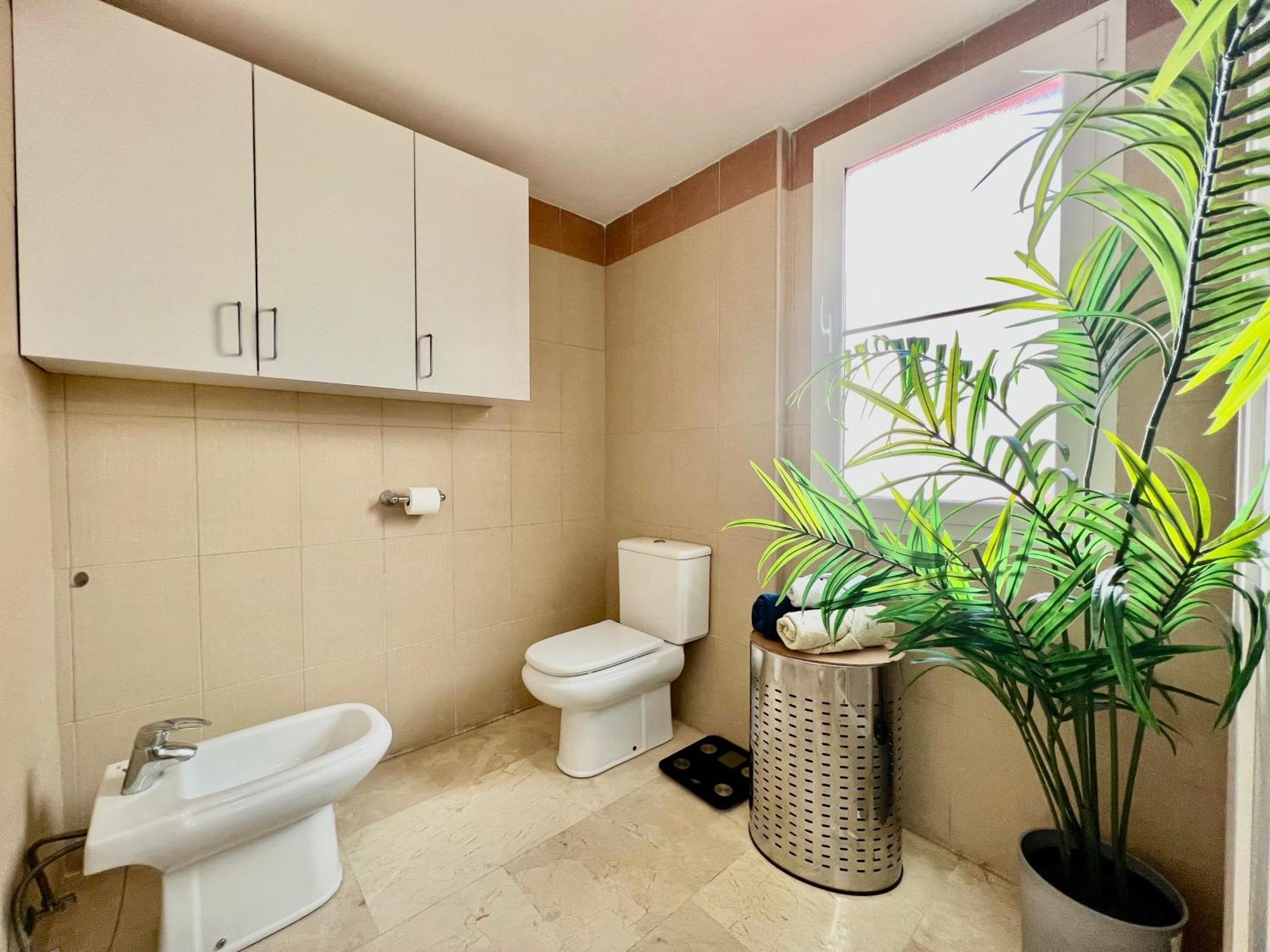 Apartment Casa Shaw